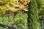 Impression der Felsberg Ranch 12