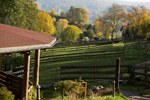Impression der Felsberg Ranch 21
