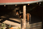 Impression der Felsberg Ranch 22
