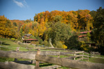 Impression der Felsberg Ranch 27