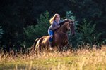Impression der Felsberg Ranch 34